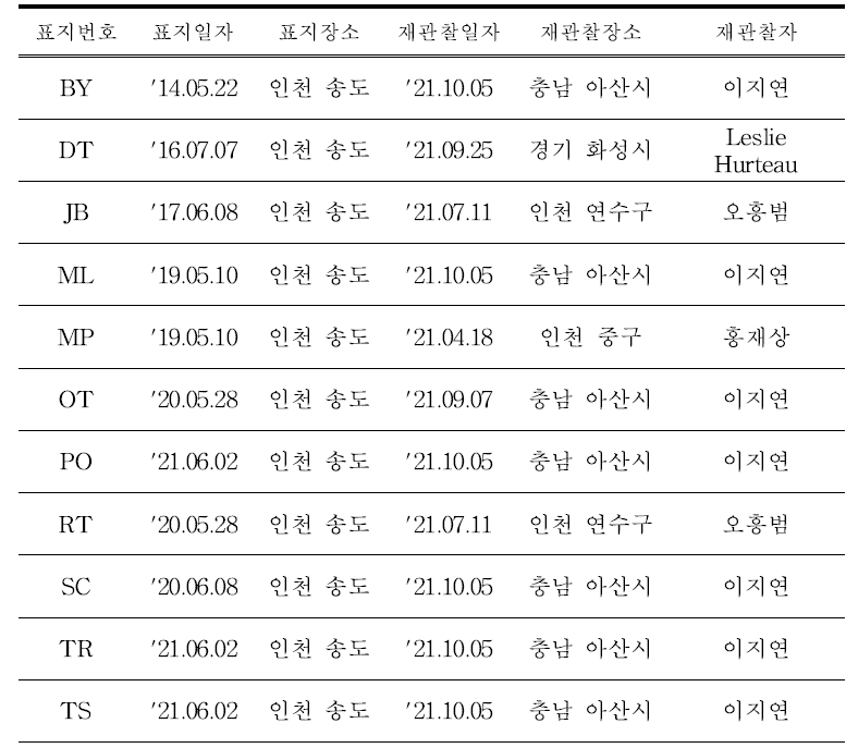 국내에서 재관찰된 국내 부착 검은머리갈매기 컬러플랙