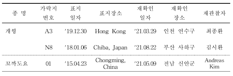 국내에서 재관찰된 국외 부착 도요·물떼새류 컬러플랙