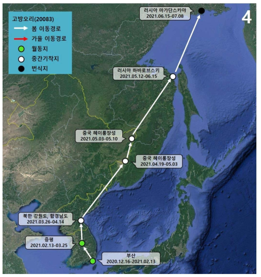 고방오리(ID 20083)의 이동경로