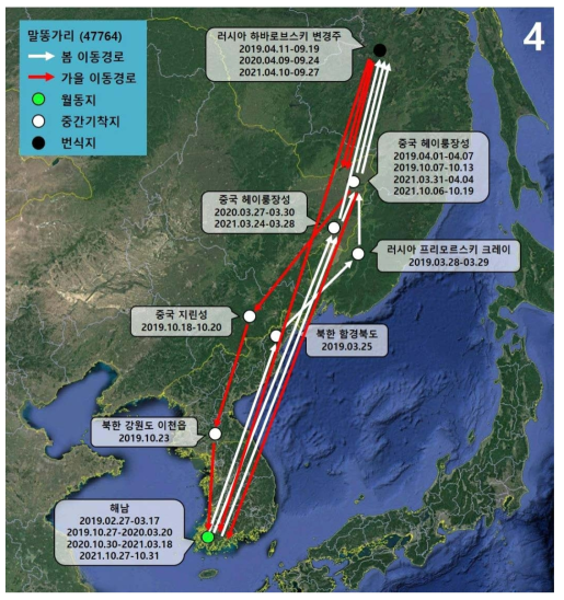 말똥가리(ID 47764)의 이동경로