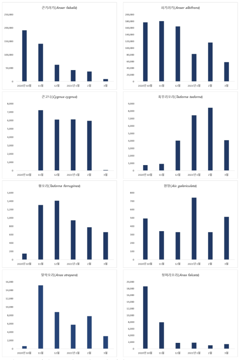 오리과 조류의 종별 도래 현황