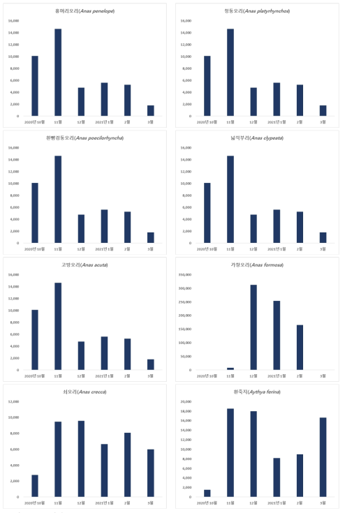 오리과 조류의 종별 도래 현황 (계속)