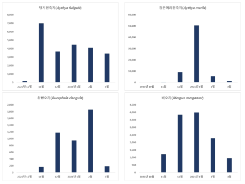 오리과 조류의 종별 도래 현황 (계속)