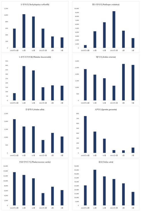기타 물새류의 종별 도래 현황