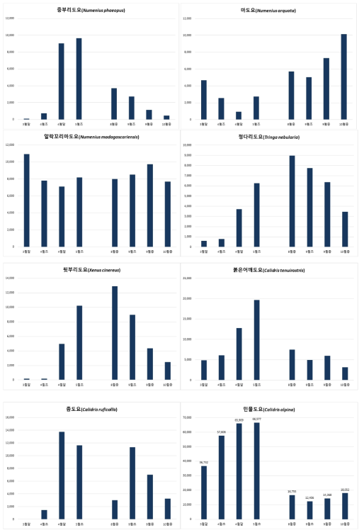 도요물떼새 주요종의 시기별 개체수 변화(계속)