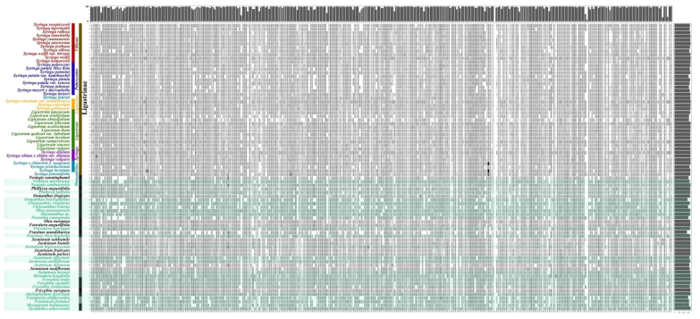 Target enrichment sequencing을 이용해 확보한 염기서열 정보. *heatmap – 유전자별 확보한 유전정보 길이의 비율; bar graph(상) - 지역별 확보에 성공한 분류군 수; bar graph(우) - 분류군별 확보에 성공한 지역 수