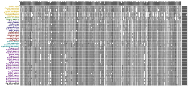 Target enrichment sequencing을 이용해 확보한 염기서열 정보.(heatmap – 유전자별 확보한 유전정보 길이의 비율; bar graph(상) - 지역별 확보에 성공한 분류군 수; bar graph(우) - 분류군별 확보에 성공한 지역 수)