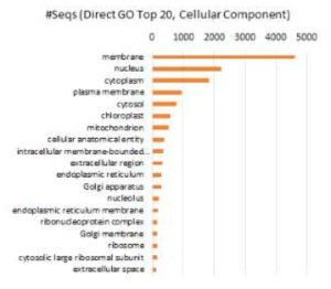 Direct GO Count 결과물 요약(Cellular Component)