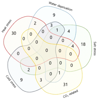기후변화 관련 유전자 Cluster의 Venn diagram