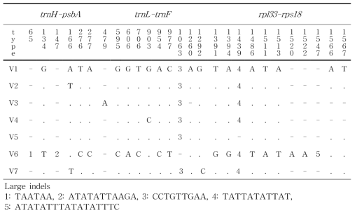 엽록체DNA 3개구간염기서열분석결과선제비꽃에서나타난 7개의단상형(1701bp)