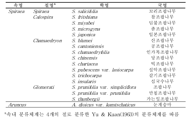 조팝나무속(Spiraea) 식물 16 분류군 및 군외군 정보