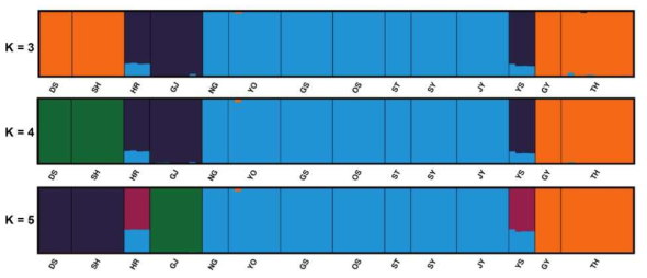 물여뀌 14개 집단에 대한 STRUCTURE 분석결과(다른 예상 집단 수 (K=3, 4, 5)의 결과를 나타냄, 집단 정보는 표 36, 그림 42 참조)