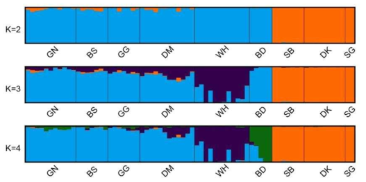 K값에 따른 만리화 개체군 STRUCTURE 결과(개체군 정보 표 47 참조)