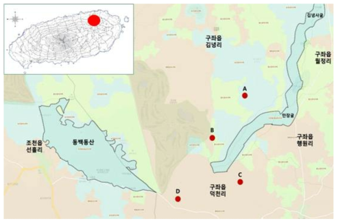 제주고사리삼, 산꽃고사리삼 그리고 나도고사리삼 채집지