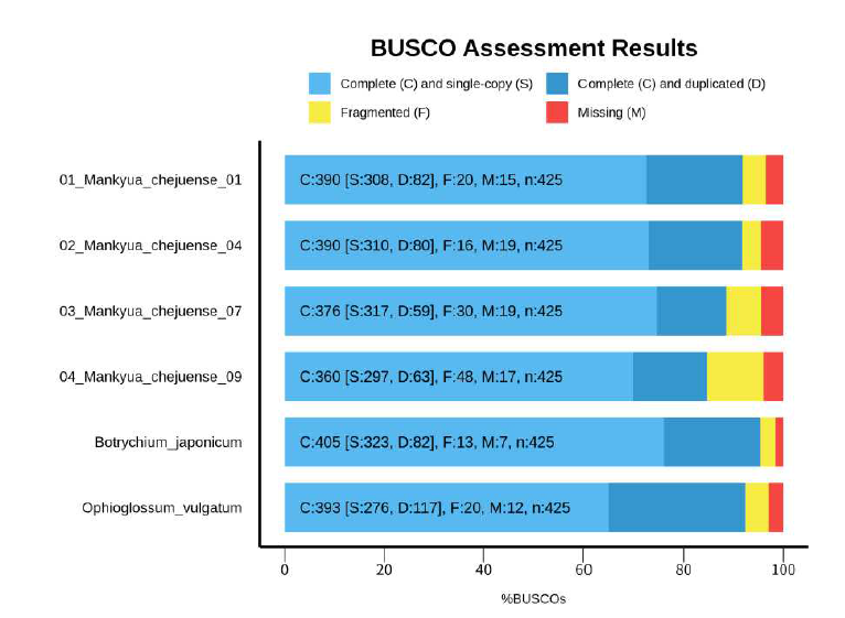 제주고사리삼 및 근연속 transcriptome data BUSCO 평가 결과