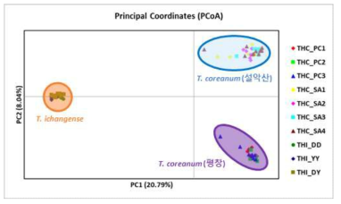 T. coreanum (연잎꿩의다리) 및 T. ichangense (꼭지연잎꿩의다리) 집단의 PCoA 분석 결과