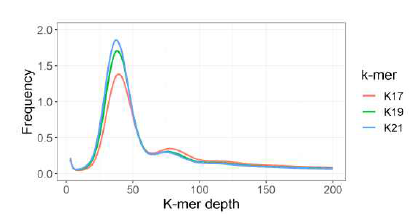섬현호색 WGS 데이터 k-mer 분포