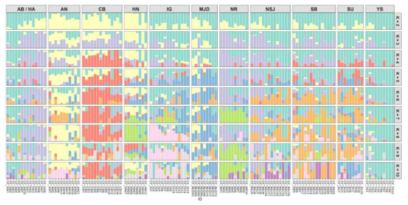 섬현호색 집단의 K 값에 따른 ADMIXTURE 분석 결과