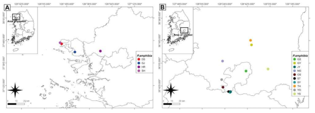 확보한 물여뀌 집단 분포도 A. 경기도 및 강화군 일대 B. 경상도 일대