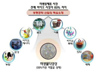 미생물의 산업적 활용 및 가치