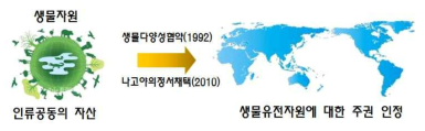 생물다양성 및 나고야의정서에 의한 생물유전자원의 중요성