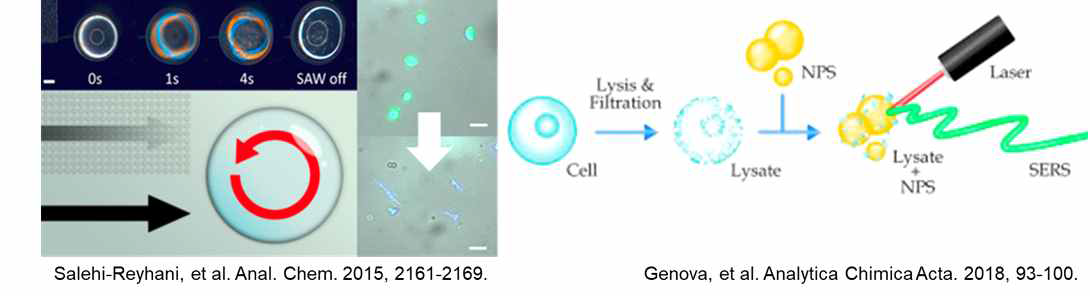 표면탄성파 기반 세포 용해 및 표면증강라만산란을 통한 세포용해물질 검출