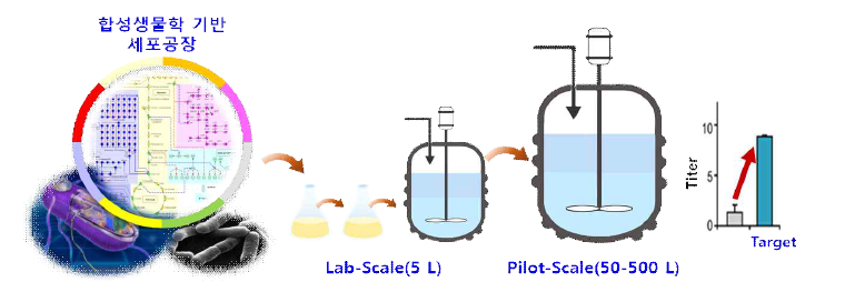 진세노사이드 대량 생산을 위한 Pilot scale 발효 (500L) 공정 개발 모식도