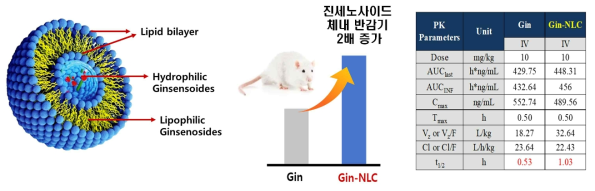 약물동태학 실험을 통해 평가한 제형화된 진세노사이드 안정성 증가 확인 실험