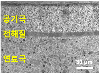 신조성 공기극이 적용된 CO2 전해전지 버튼셀 단면 SEM 이미지