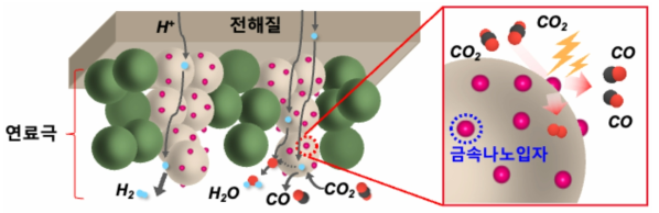 실시간 표면 용출기술을 적용한 연료극 모식도