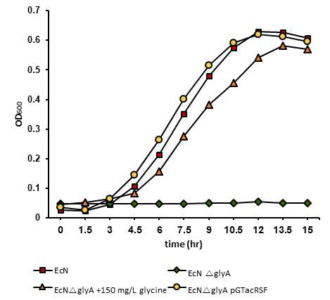 글라이신 영양요구균주 EcN△glyA의 외부 글라이신이 공급되었을 경우와 pGtacRSF 플라스미드가 형질 전환된 경우의 생장곡선 그래프