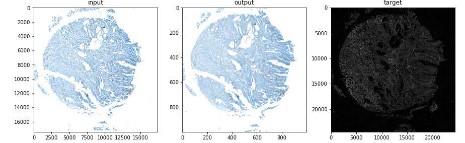 TMA core의 매칭 확인. input : Raw WSI image, output : registered WSI image target : RI image