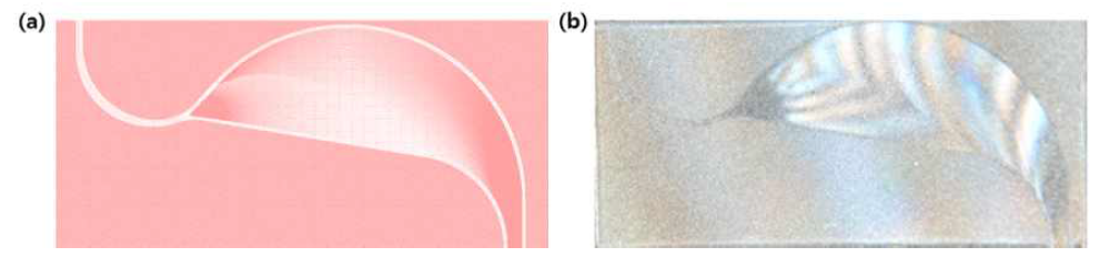 Silica OPA의 (a) 설계 layout (b) 실제 제작된 chip (9 mm x 5 mm) 사진