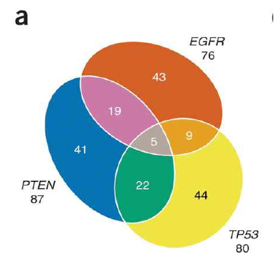 “Lex, A., Gehlenborg, N et al ” primary GBM 의 유전자 mutation 벤다이어그램