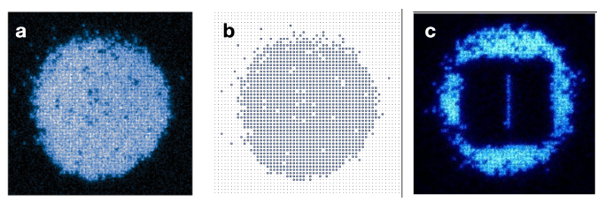 양자 기체 현미경을 통해 관측된 중성원자들의 분포. a, 모트 부도체의 형광 사진 b, 알고리즘을 통해 환산된 격자 채움 수. c, 단일 원자 제어기술을 통해 얻은 단일 원자 배열