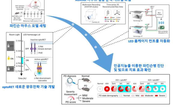 인공지능을 이용한 파킨슨모델쥐 판별 모델 구축 및 광유전학 치료 효과 검증 과정 개요