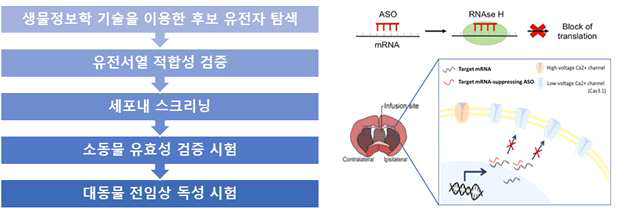 분자타겟치료제 개발 공정 및 작동 메커니즘
