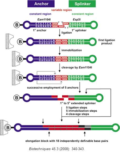 Slonomics DNA library generation process