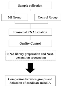 Schematic flow chart summarizing experiment process