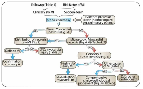 급성심근경색이 의심되는 부검 례의 진단 흐름도. 임상증상, 심전도와 같은 통상적인 보조 지표가 없는 부검 환경에서 다양한 조직변화, 심장 재구축의 이해를 통한 허혈성 심장질환의 대표인 급성심근경색 진단이 이루어지지만, 법의병리의사 사이에서도 허혈성 심장질환의 진단 범주는 다양함. 약어: c/w, compatible with; D/D, differential diagnosis; s/o, suspicious of