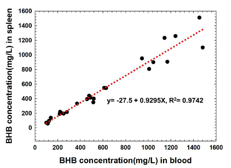 혈액과 비장조직 내 존재하는 BHB 농도간의 상관관계
