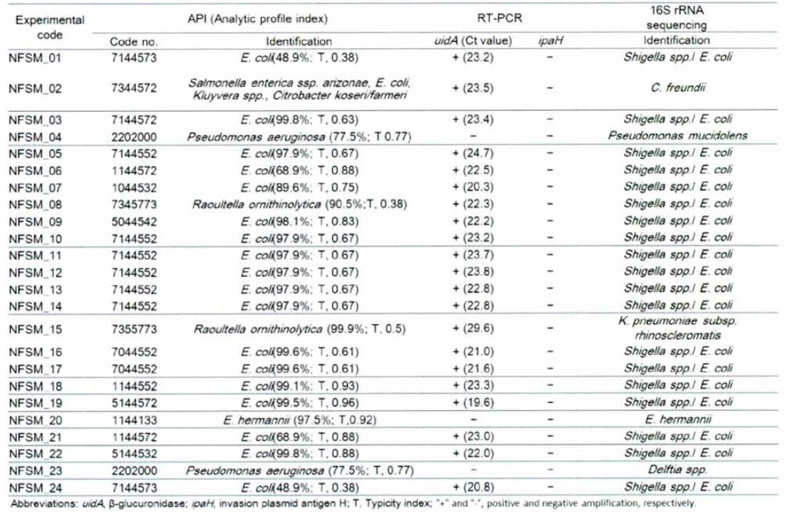 Identification results of 24 isolates by the API 20E system, multiplex real-time PCR assay and 16S rRNA sequencing