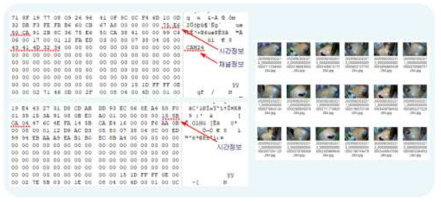 CCTV 저장 데이터에서 채널정보가 구분되는 예(좌상), 채널정보가 구분되지 않는 예(좌하), 같은 시간대에 복원된 다채널 영상 프레임이 뒤섞여 있는 예(우)