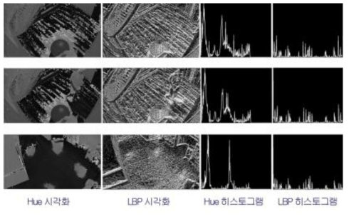 입력 영상 프레임에 대한 Hue, LBP 시각화와 히스토그램 (동일 채널에 전경물체가 나타난 경우와 다른 채널과의 비교 예시)