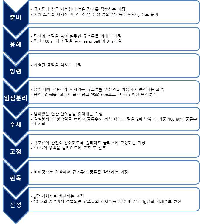 신체 내 장기조직을 이용한 규조류 검사 방법