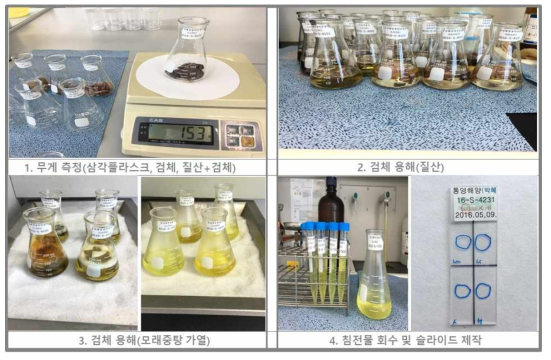 신체 내 장기조직을 이용한 규조류 검사과정