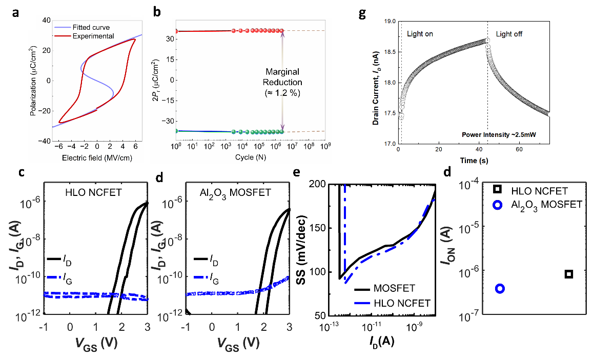 (a) P vs. E curve with fitted negative capacitance curve depicts the feasibility of La-doped HfO2 to be used as a ferroelectric layer in the regular MOSFETs to yield its efficacy as the negative capacitor. (b) The ferroelectric stability characteristic depicting negligible change in the polarization when cycled for 106 times. (c) The characteristics of HLO NCFETs depicting the high ION currents compared to (d) Al2O3 based MOSFETs and their (e) subthreshold swing comparison and (d) maximum current comparison. (g) Measured potentiating and depressing curves of HLO-based NCFETs by applying successive AC pulses. This is the main contribution of the present project