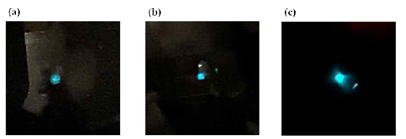 스핀 코팅 속도에 따른 CsPbBr3 LED의 발광 이미지 (6 V). (a) 2000 rpm, (b) 4000 rpm, (c) 6000 rpm