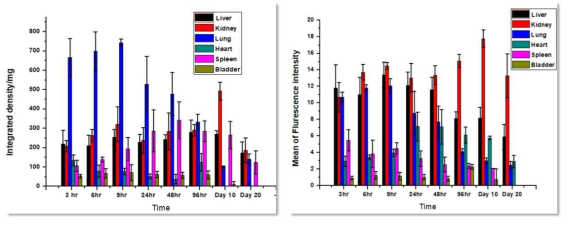 Organ distribution during long-term follow-up after nanoparticle injection