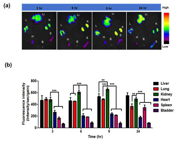 The fluorescence intensity of all organs quantified at each time points